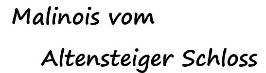 Malinois vom Altensteiger Schloss